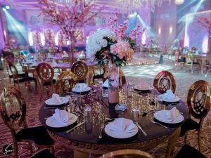 قاعة جاردينيا الاسكندرية - 5