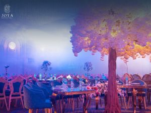 قاعة جويا رأس البر - 7