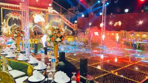 قاعة سفارى المنصورة - 10