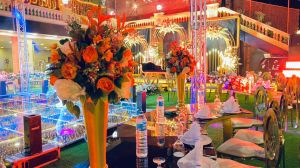 قاعة سفارى المنصورة - 9