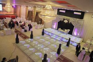 قاعة فيرجينيا للحفلات بالمنصورة - 7