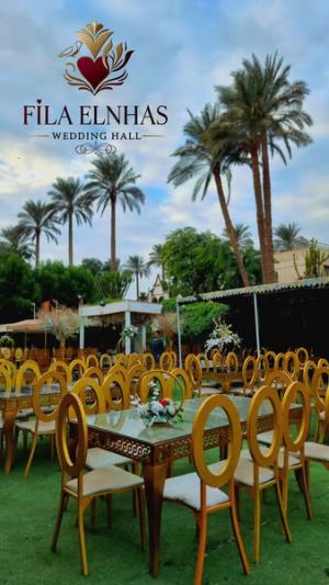 قاعات فيلا النحاس الجيزة - 9