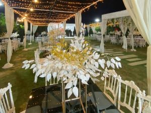 قاعه باسيليكو طنطا - 11