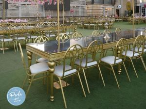 قاعه بيرلا - طنطا - 15