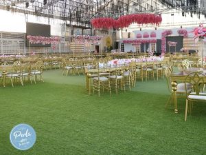 قاعه بيرلا - طنطا - 4