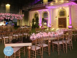 قاعه بيرلا - طنطا - 10