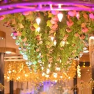 قاعه ميلفيتا - 11