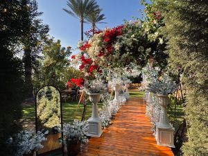 قاعه هيفن كفر المنشي القبلي - 9