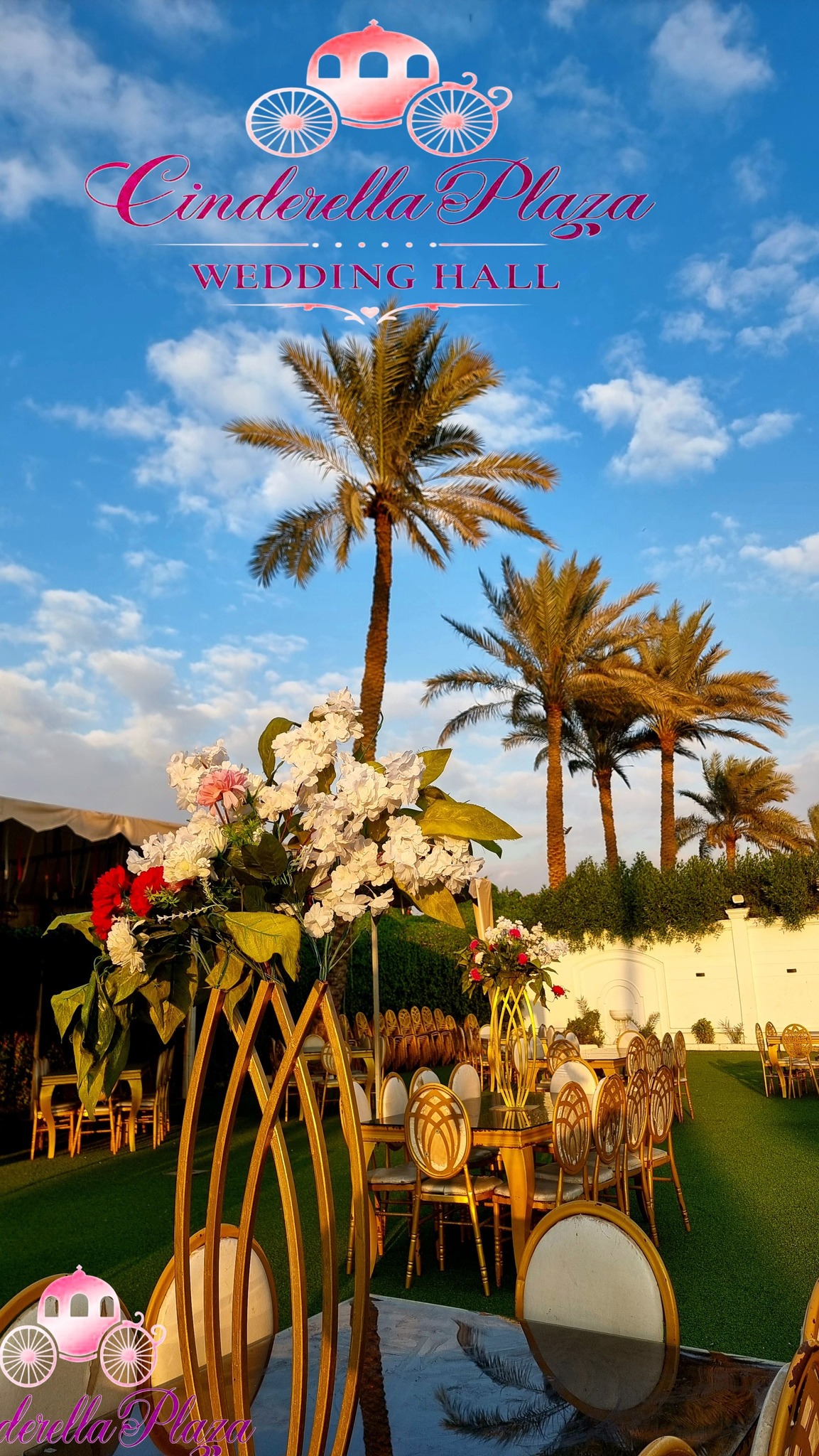 قاعه سندريلا بلازا المريوطية