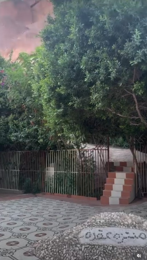 شاليه منتزه عقدة 1 و2 حائل