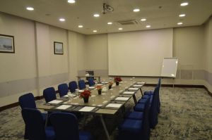 قاعة الاجتماعات فندق جولدن توليب حائل