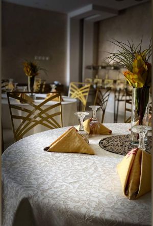 شاليه نيلوفر حائل - 7