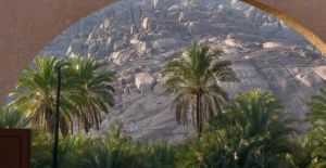 قاعات منتجع ترحال حائل - 5