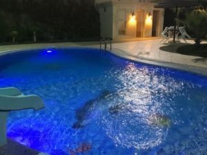 استراحة اللؤلؤة الرياض - 8