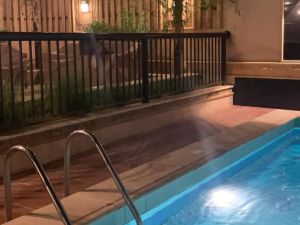 استراحة قصر الرمال الرياض - 12