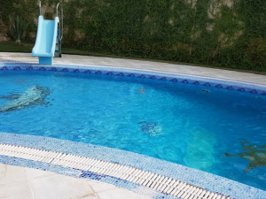 استراحة اللؤلؤة الرياض - 10