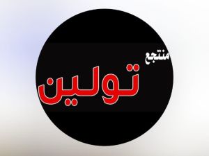 شاليه تولين الفندقي حائل - 2