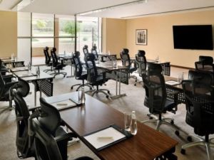 قاعات الاجتماعات فندق انتركونتيننتال الرياض - 3