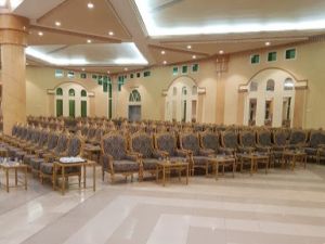 قصر فينيسيا الحائل - 6