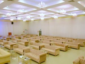 قصر اسيا حائل - 8