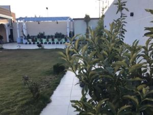 منتجع اوكلاند حائل - 6