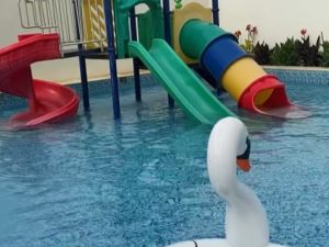 منتجع تعاليل النيصيه حائل - 4