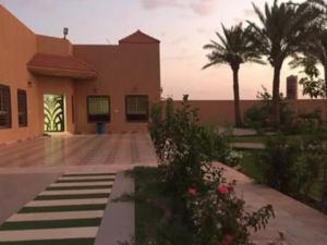 منتجع حبيبه حائل - 4