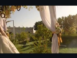 قاعات فندق الواحة الخضراء - 6