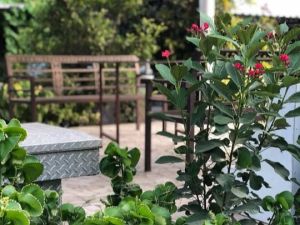 استراحة تونس الصغيرة