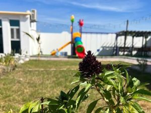 شاليه النور بركاء