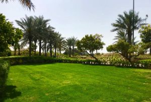Garden Lawn نادي جولف شاطئ السعديات أبوظبي - 2