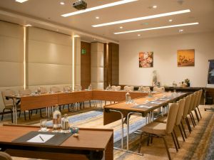 قاعات الاجتماعات راديسون بلو عجمان - 4