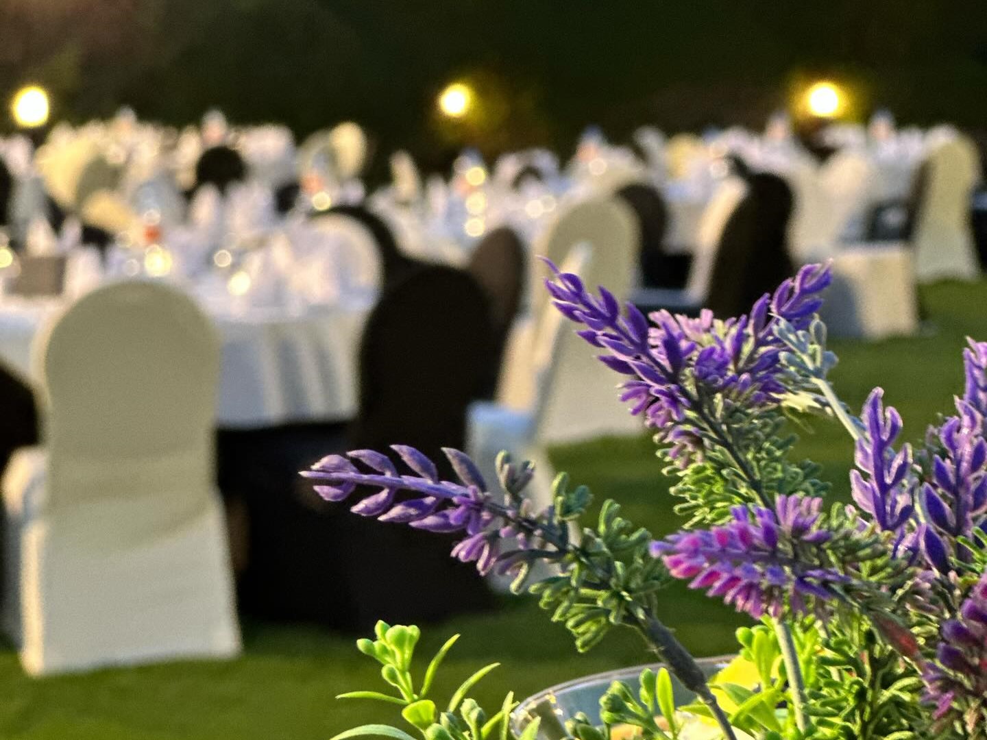 قاعة الزفاف فندق سنترو الشارقة