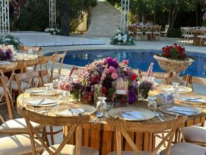 مزرعة نايا عمّان - 5