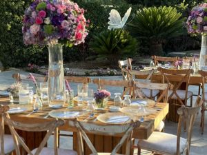 مزرعة نايا عمّان - 9