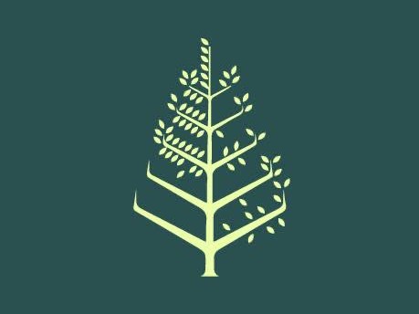 قاعات الزفاف فندق الفورسيزونز عمّان