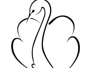 قاعة سوان ليك جبل لبنان - 9