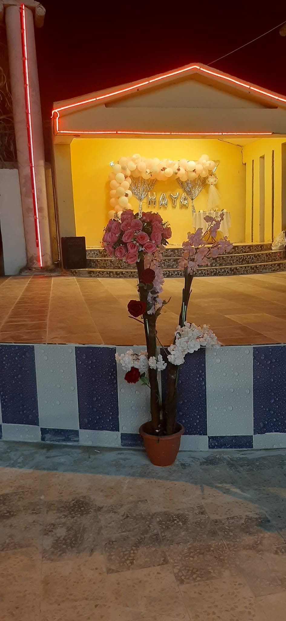 صالة دارة رويال اربد