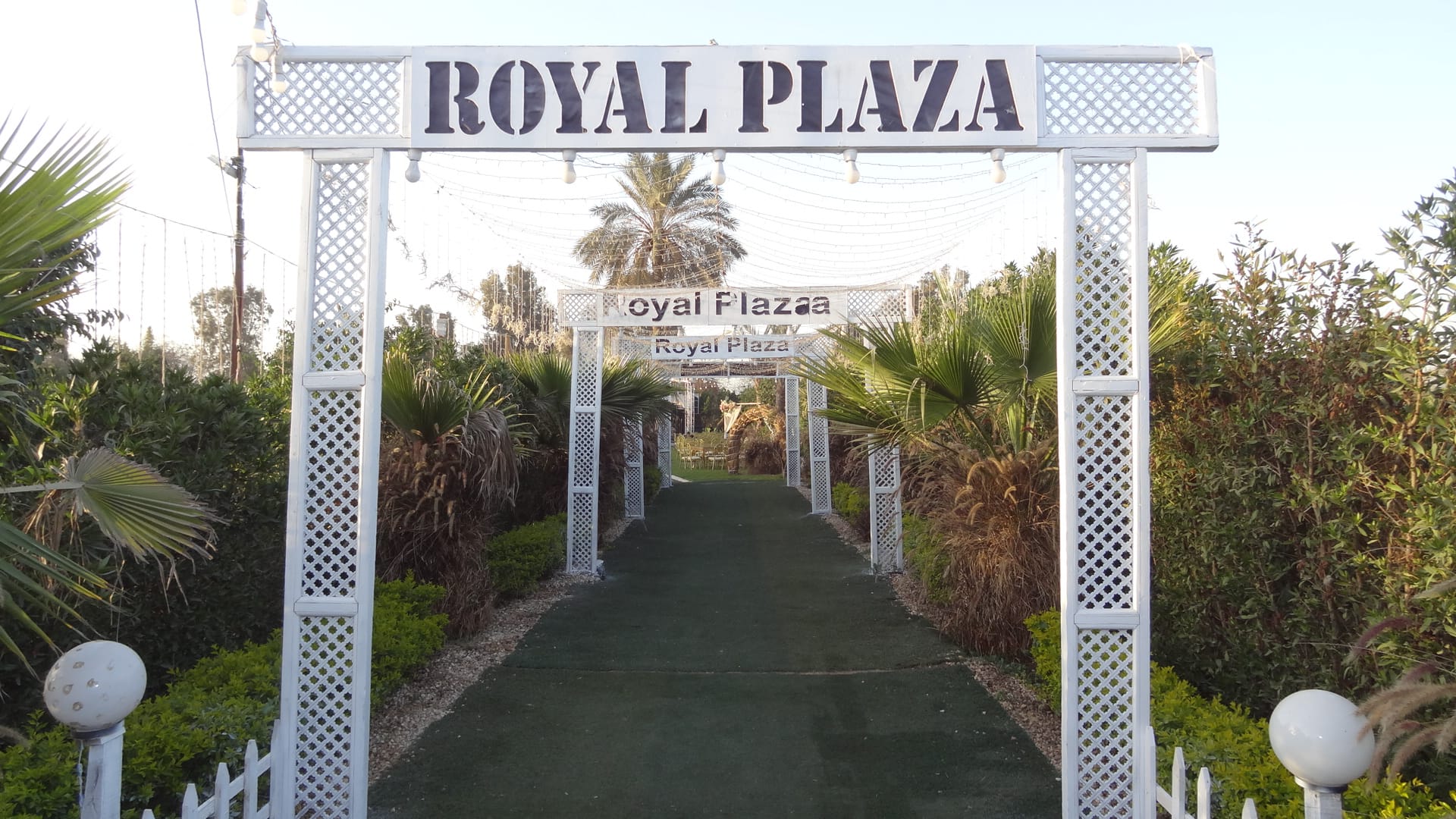 قاعة رويال بلازا المنوفية